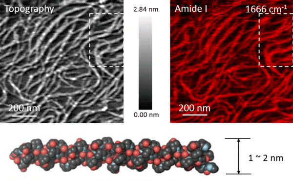 triple helix collagen - Sample courtesy of Jinhui, PNNL