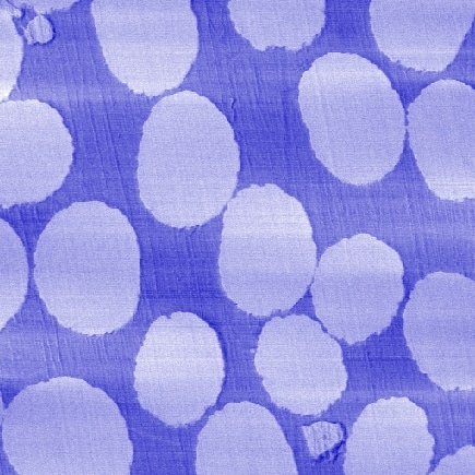 Afm-microscope-2