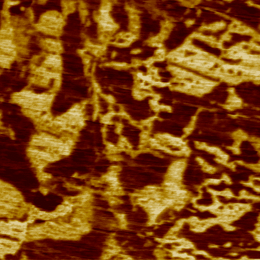 PZT, PFM mode, 10µm