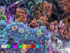 Table Top scanning electron microscopes