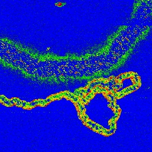 Nanotube-on-ito-resistance-6em