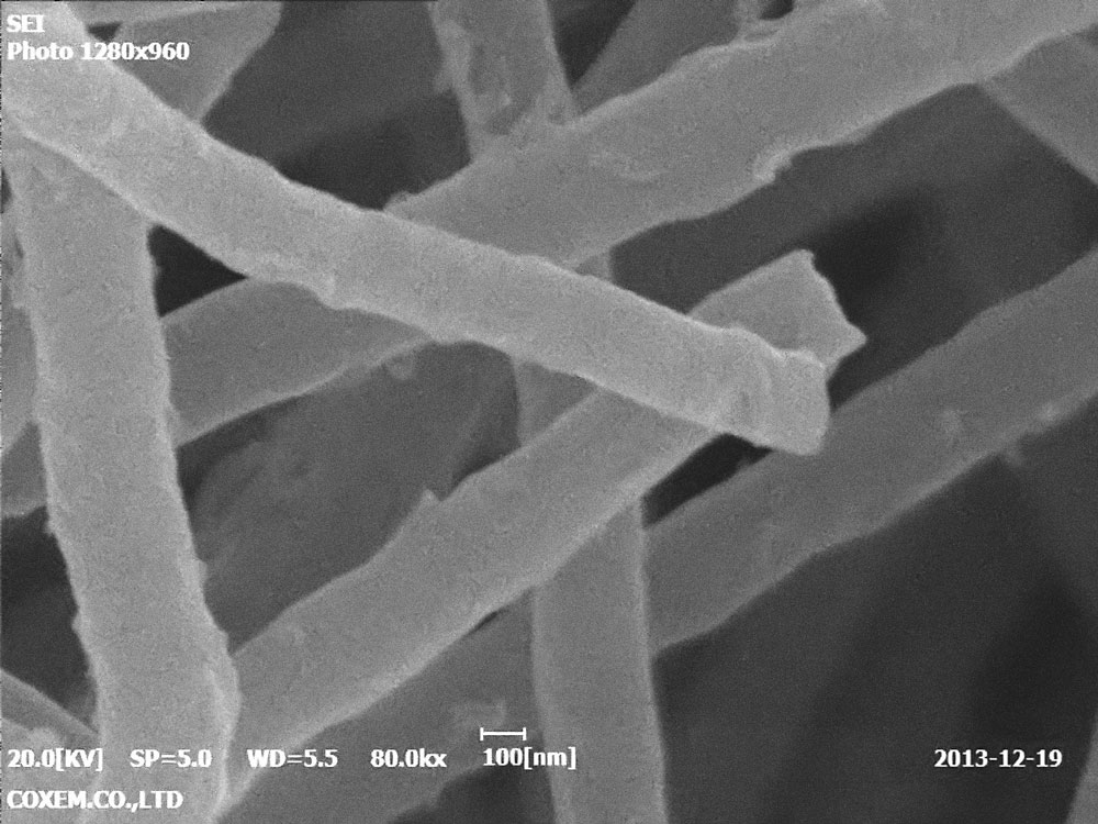 Nanotubes 80000x